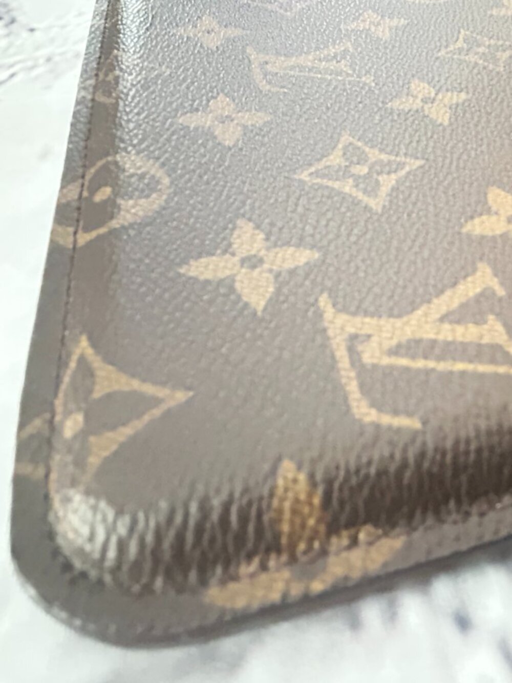 Louis Vuitton Monogram Canvas iPad Hard Case with Dust Bag - Picture 7 of 16